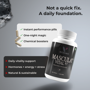 MASCULA VITAL XT – PERFORMANCE & VITALITY CAPSULES